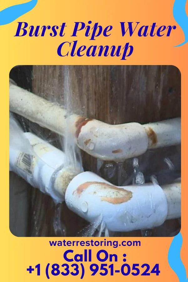 Burst Pipe Water Cleanup in Heathcote, NJ