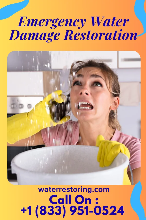 Emergency Water Damage Restoration in Heathcote, NJ