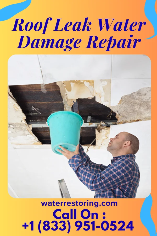 Roof Leak Water Damage Repair in Heathcote, NJ