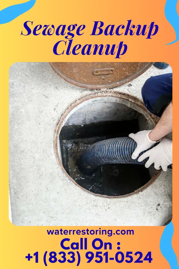 Sewage Backup Cleanup in Heathcote, NJ
